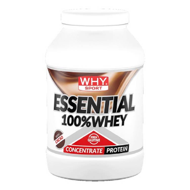 WHYSPORT ESS 100% WHEY CACAO